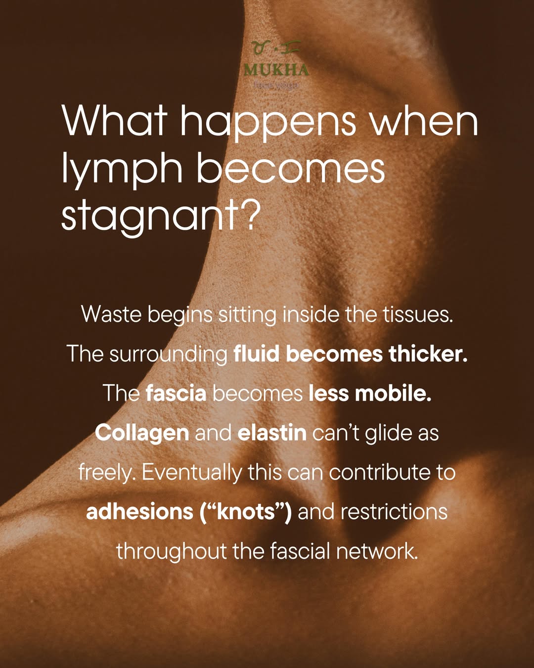 Holistic facial therapy nervous system