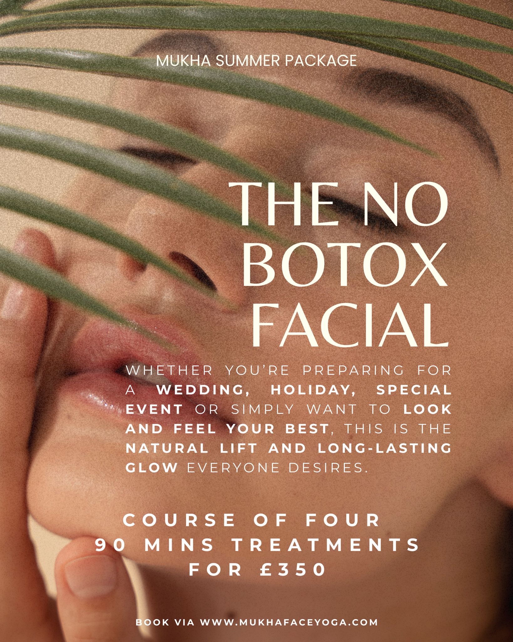 The No Botox Facial — Mukha Summer Package